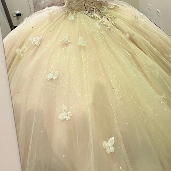 Quinceañera Dress in champagne color - Picture 3 of 5